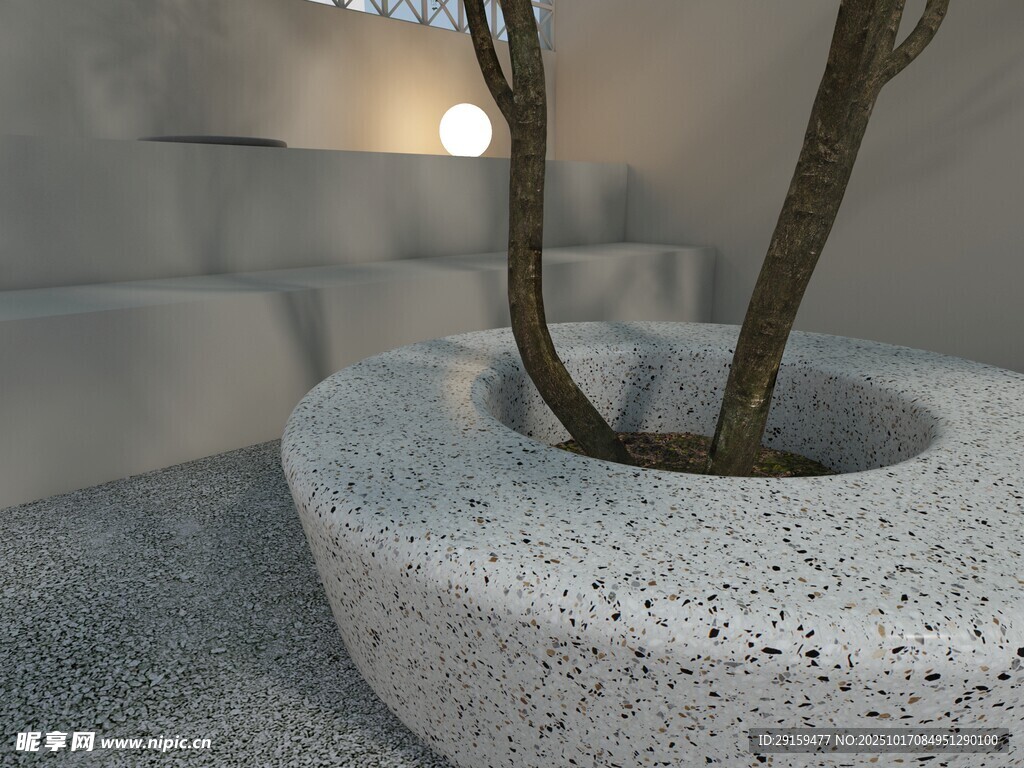 室内盆栽