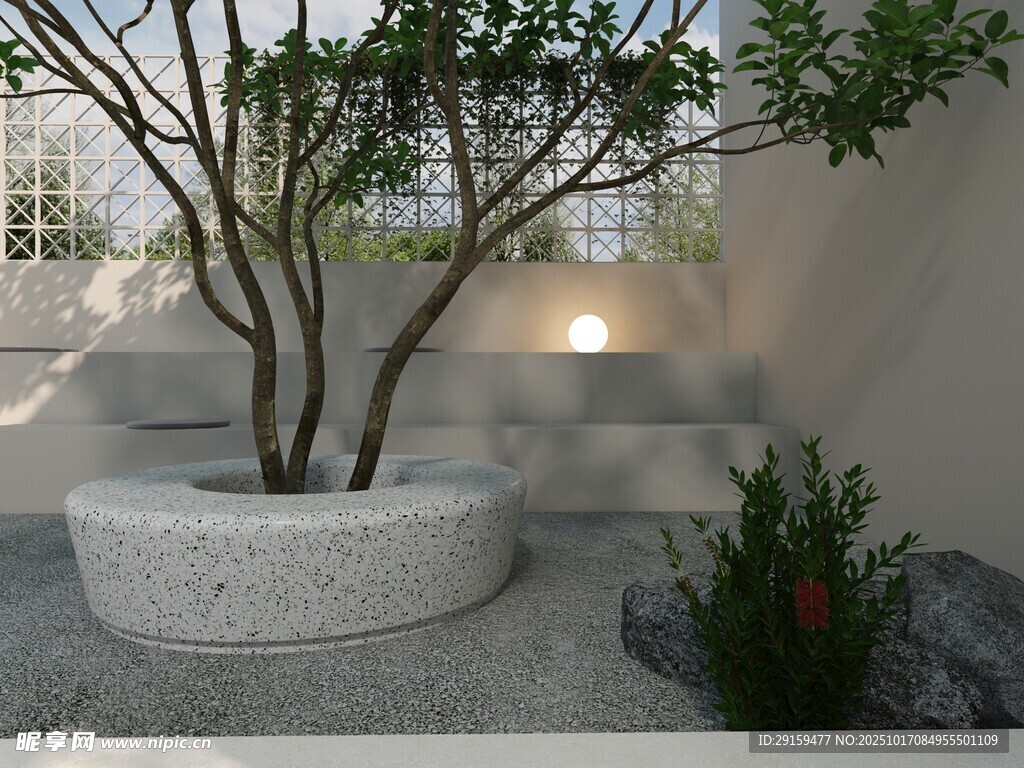 庭院中的精致树池景观
