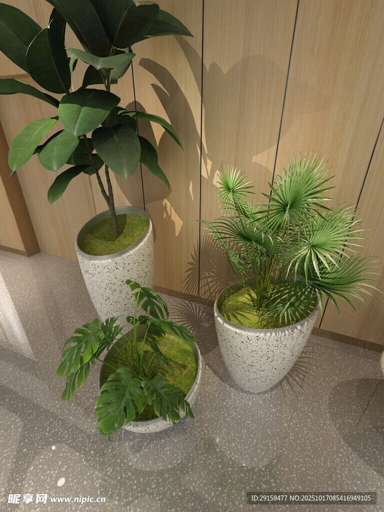 室内绿植组合展示