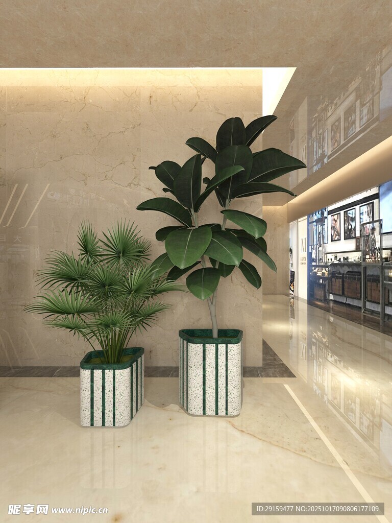室内绿植装饰美化空间