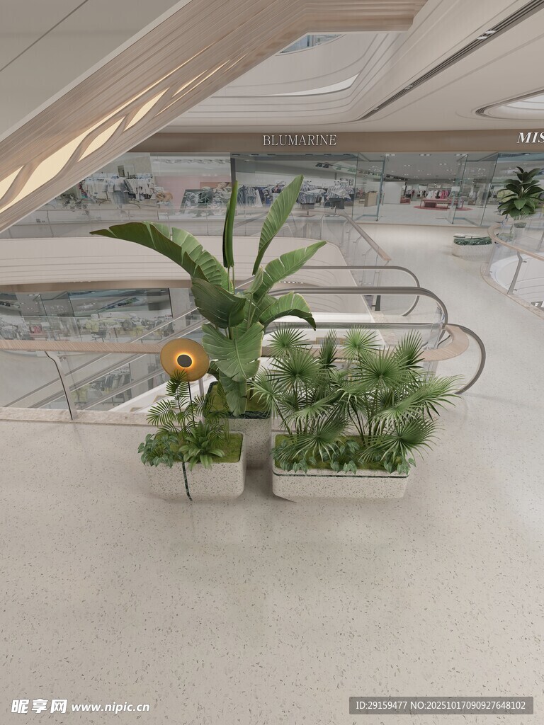 室内绿植景观