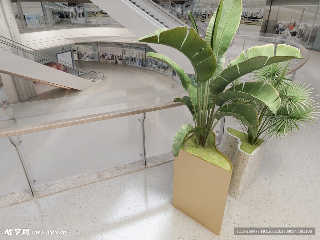 室内绿植装饰