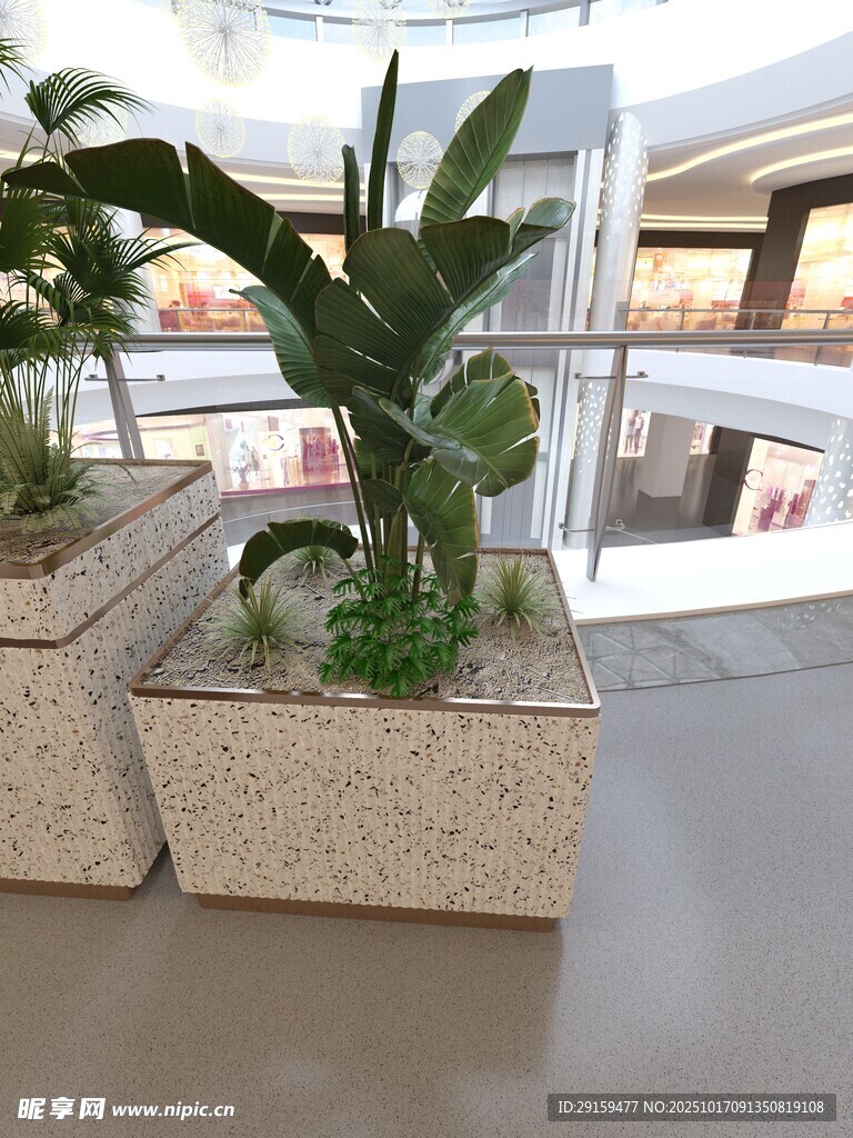 室内绿植装饰景观