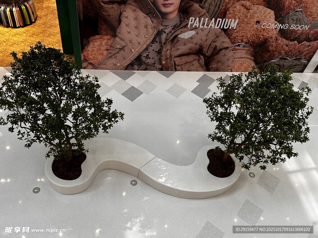 独特造型盆栽植物摆件