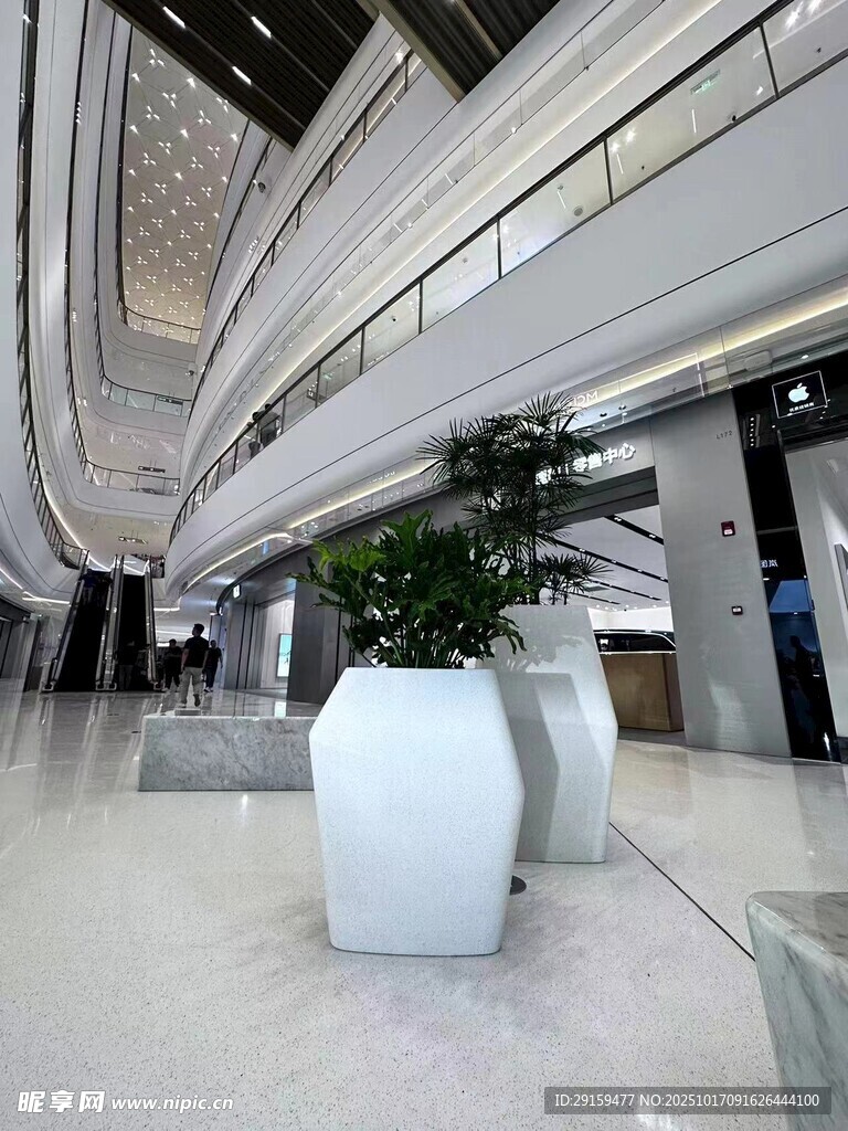 现代大厅中的白色花瓶绿植
