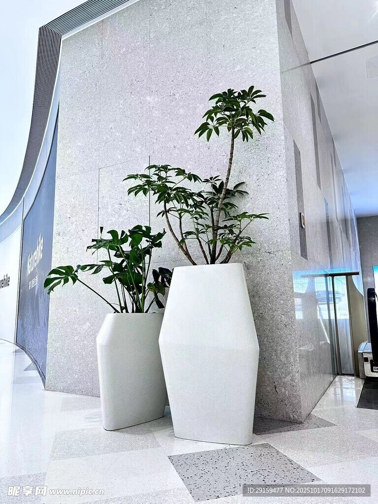 现代室内白色花瓶绿植装饰