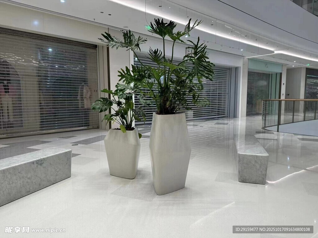 室内大厅的大型绿植装饰