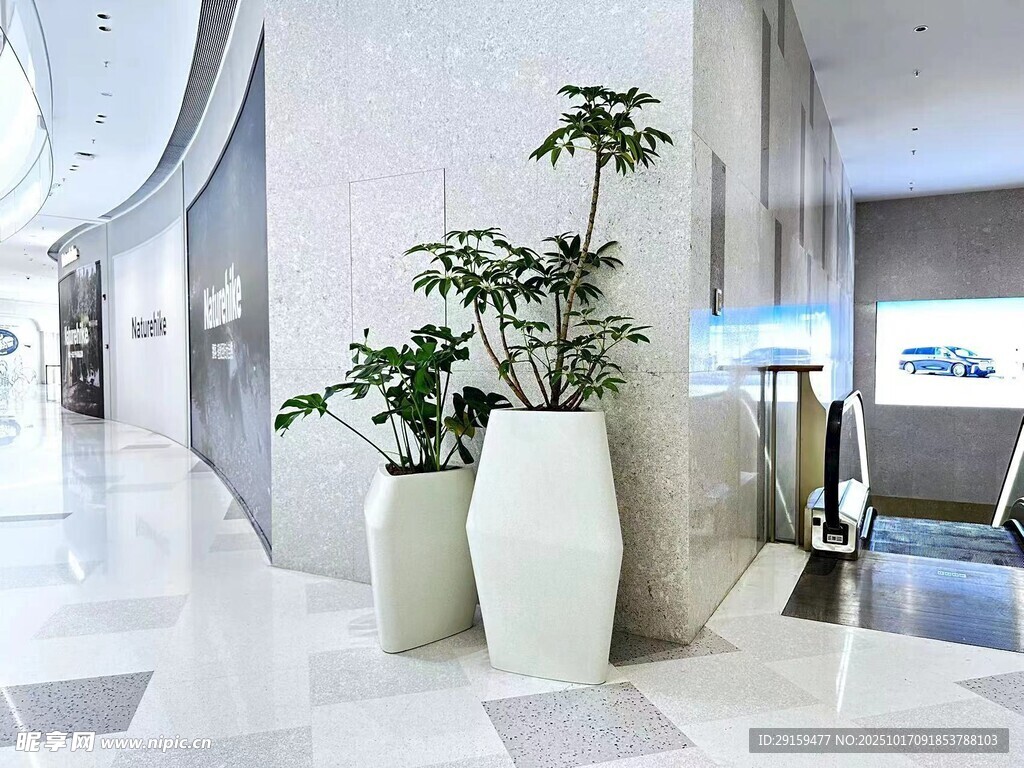 现代大厅中的绿植装饰花瓶