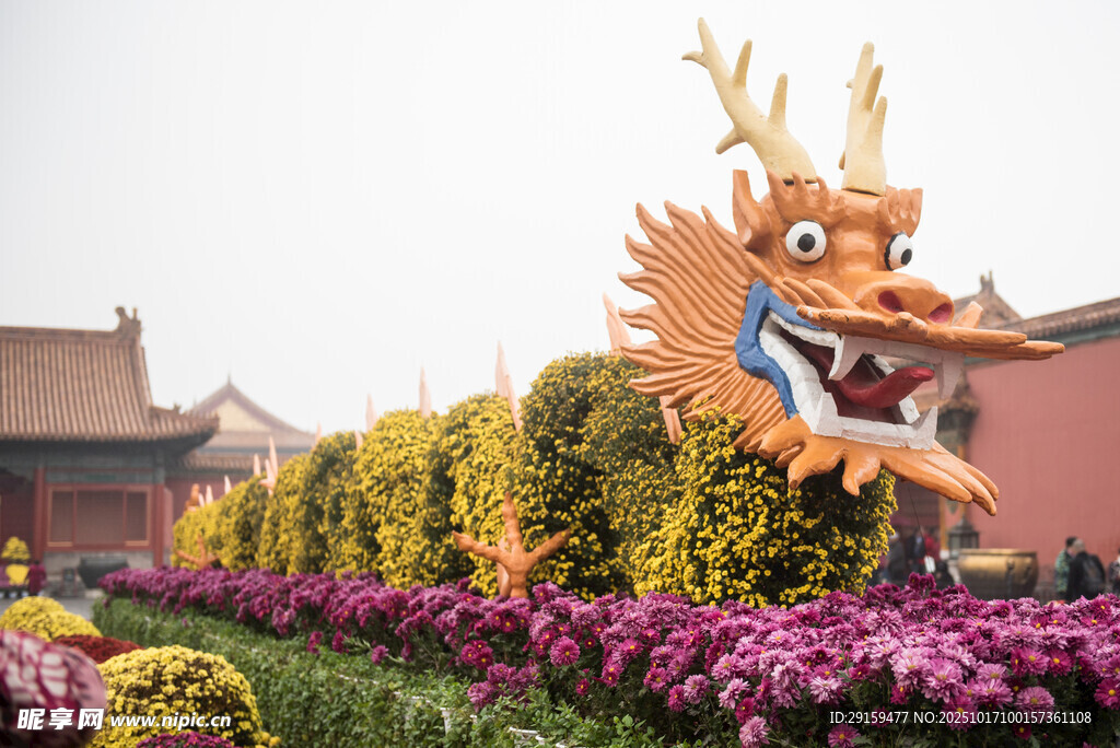 龙形园艺景观