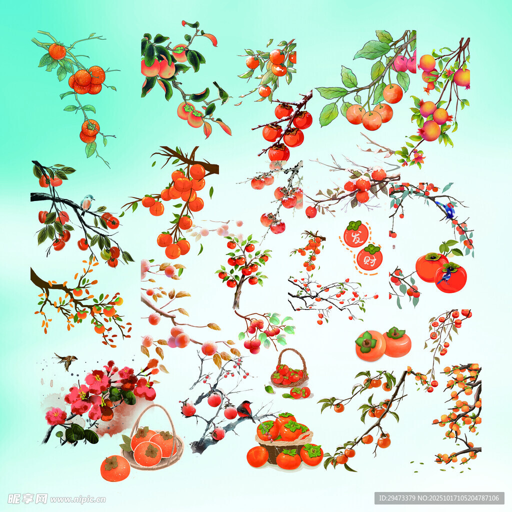 中式花鸟柿子元素插画集