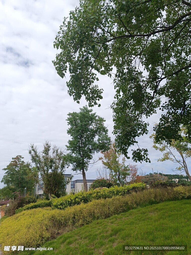 郊外绿意盎然的自然景致