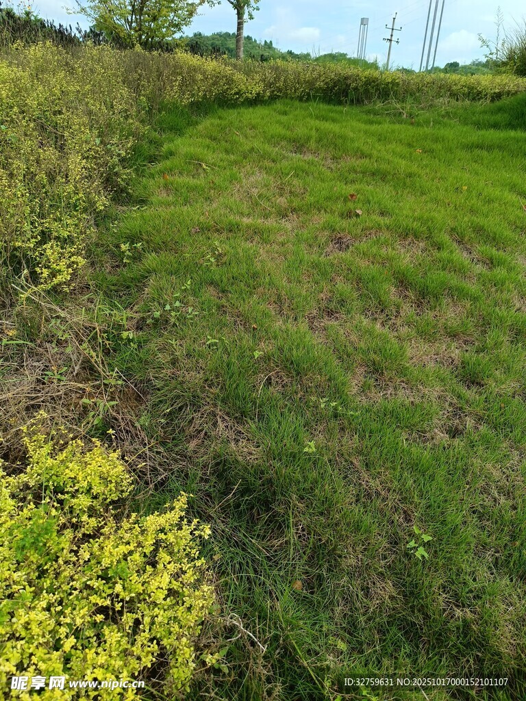 春日绿野