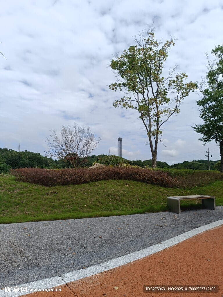 城市公园景观一角