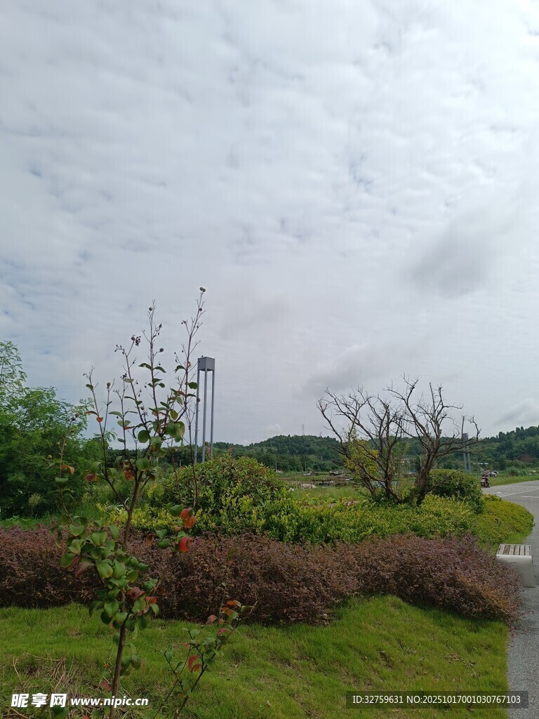 郊外风景