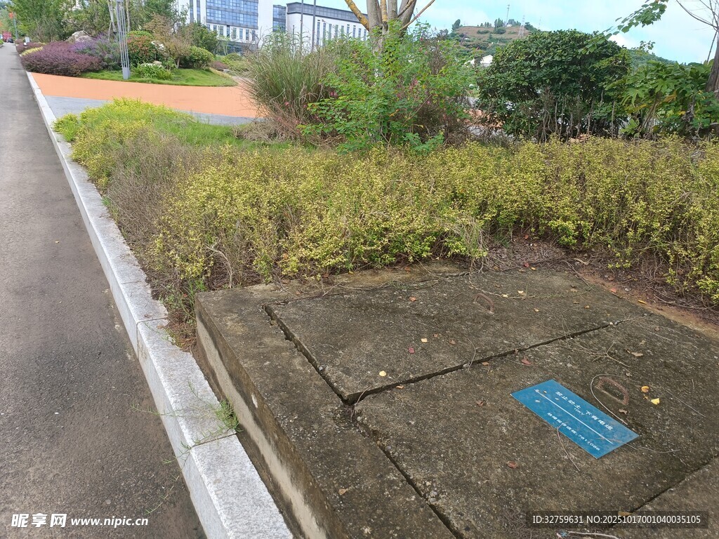 路边绿植旁的蓝色标识