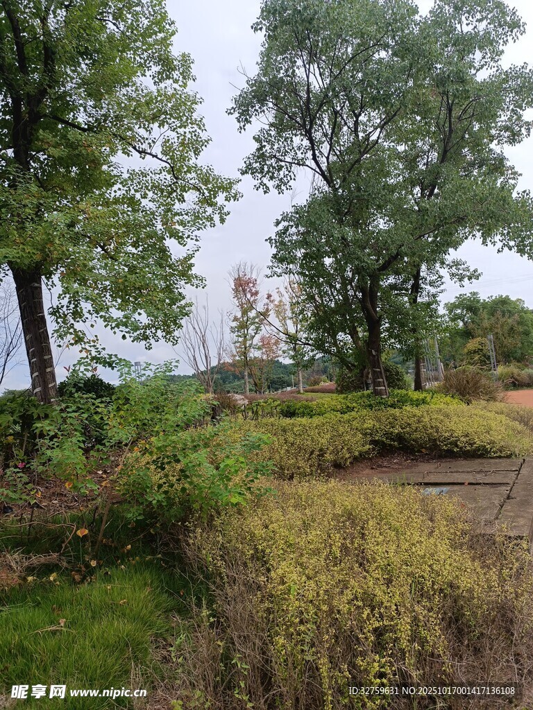 乡村田野风景