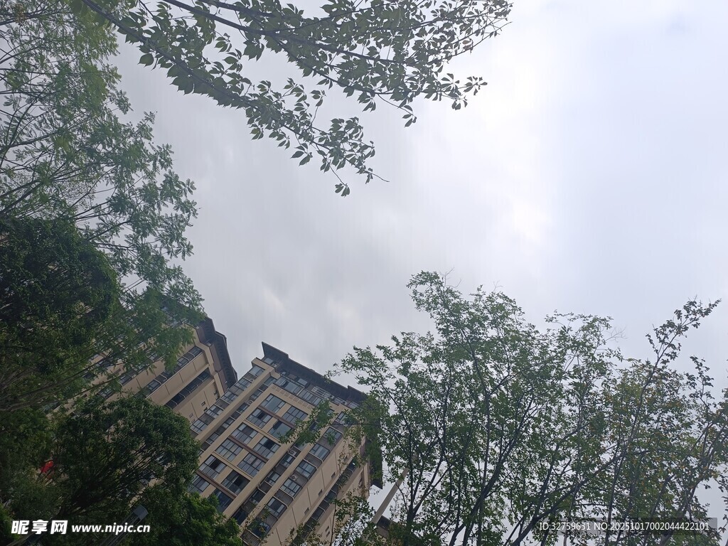 中式建筑隐于绿树之间