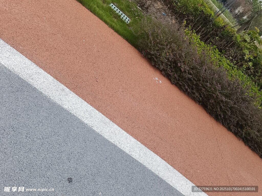 道路旁的绿植与路面边缘