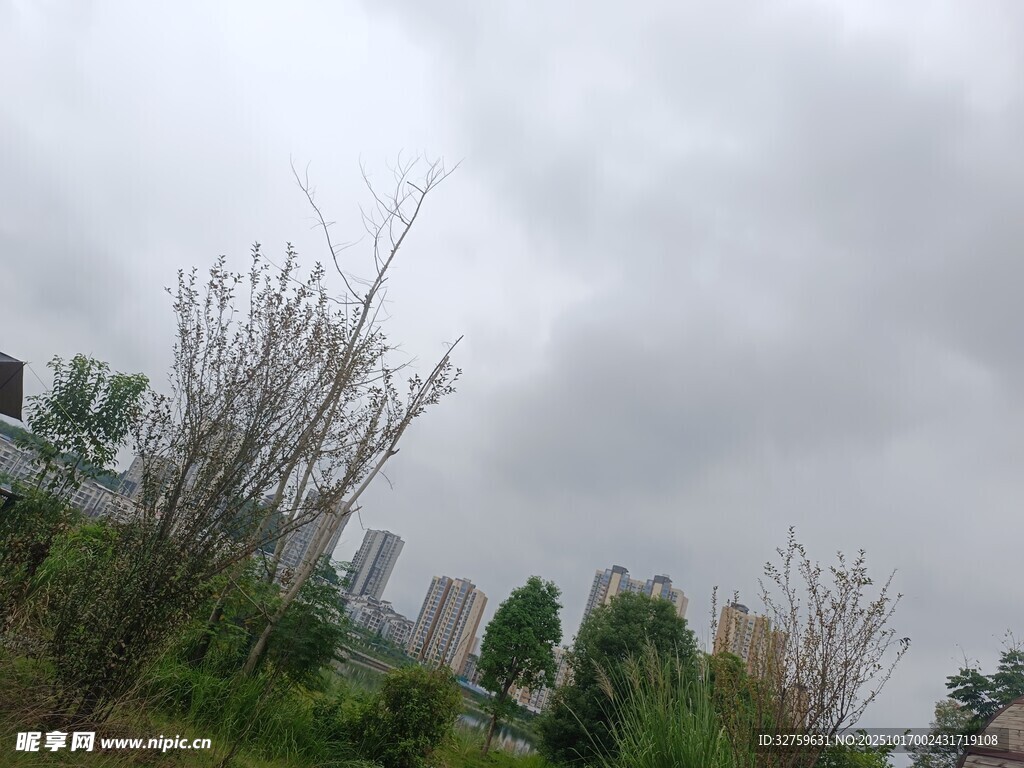 阴天户外绿植与远景建筑