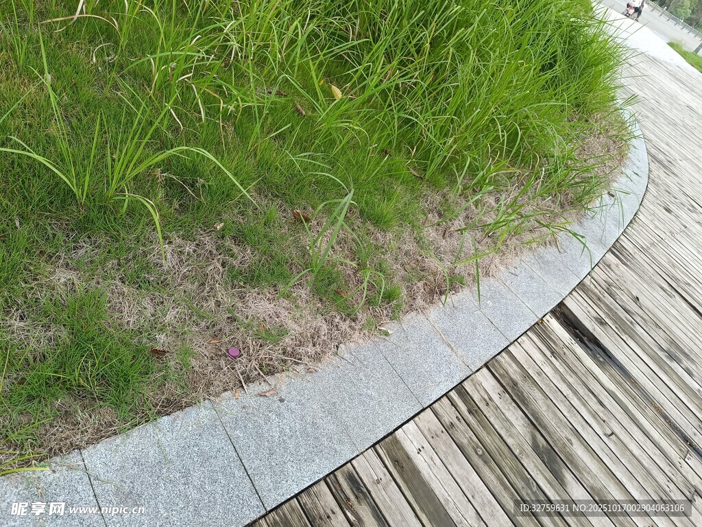 木质步道旁的翠绿草地