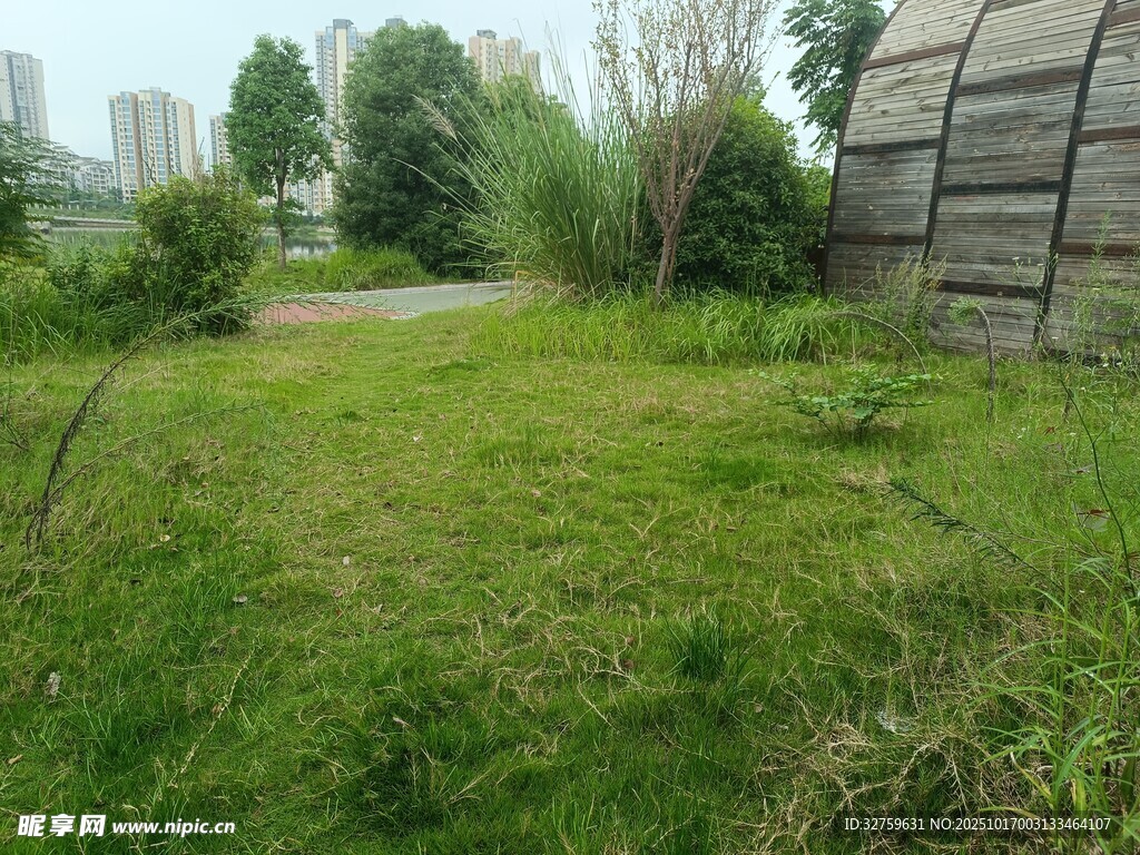 户外草地与建筑景观
