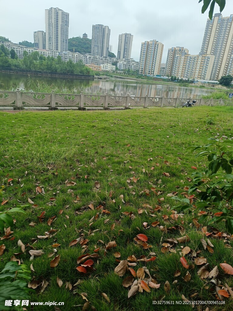 城市边的草地与远处高楼