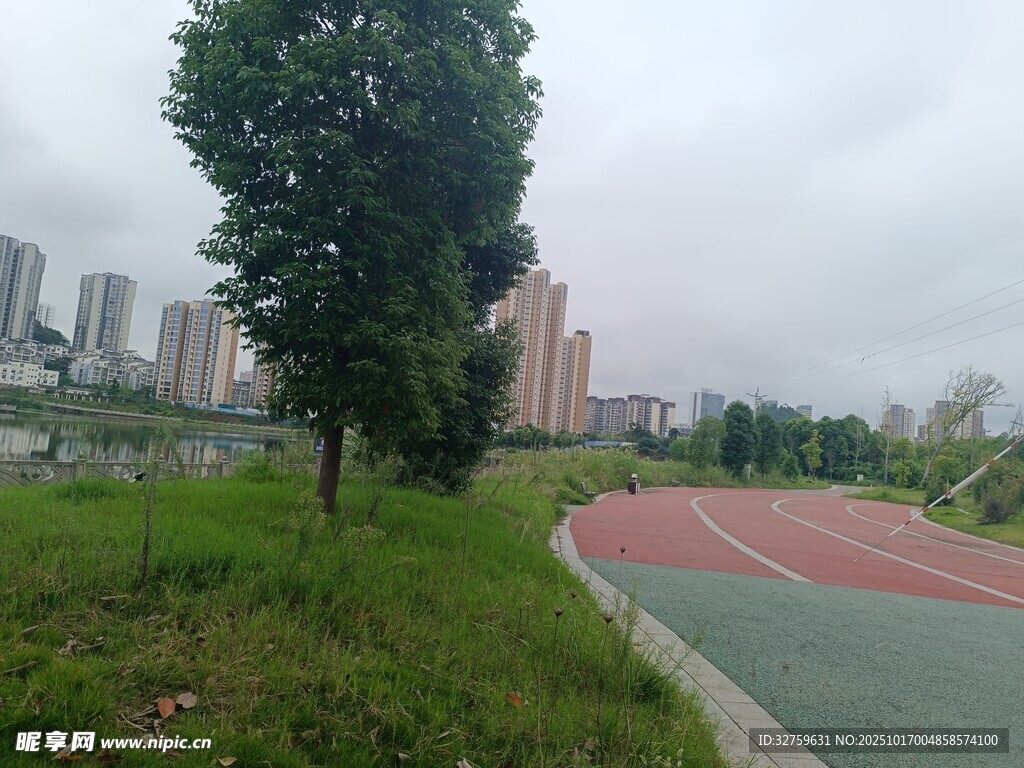 城市中的绿意运动场
