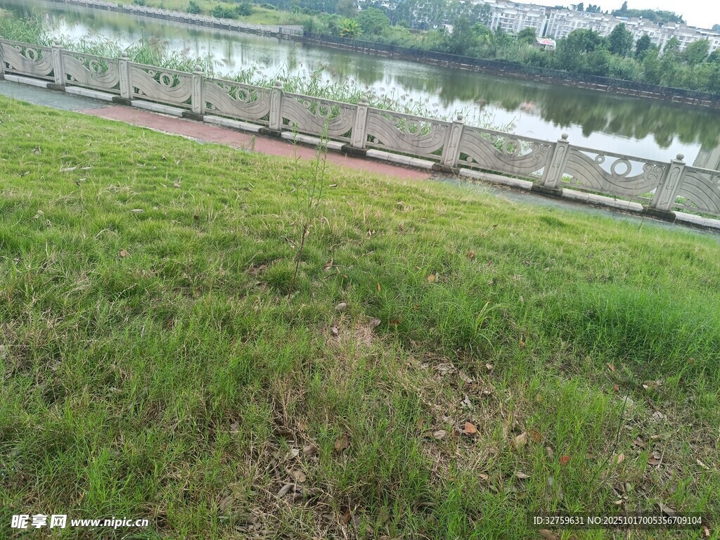 河畔绿地风景