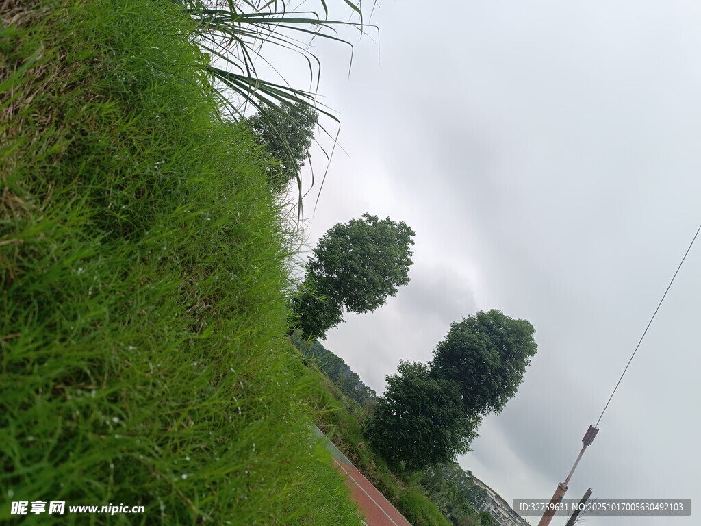 乡村绿意盎然的路边景色