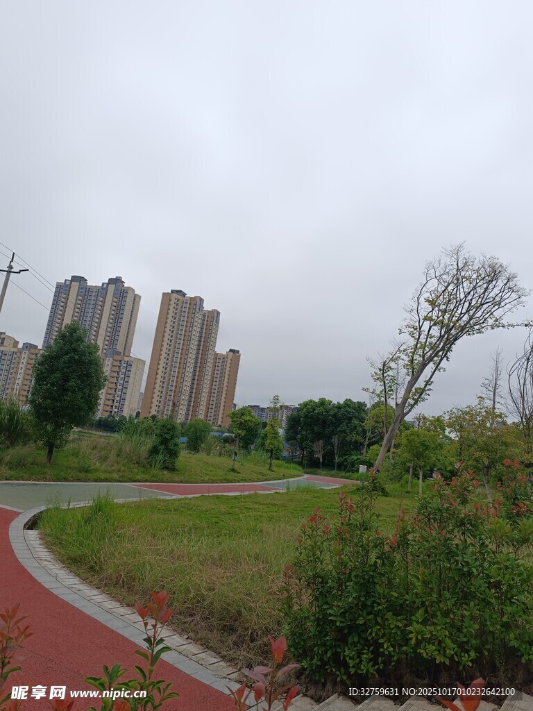 城市中的绿地与健身步道