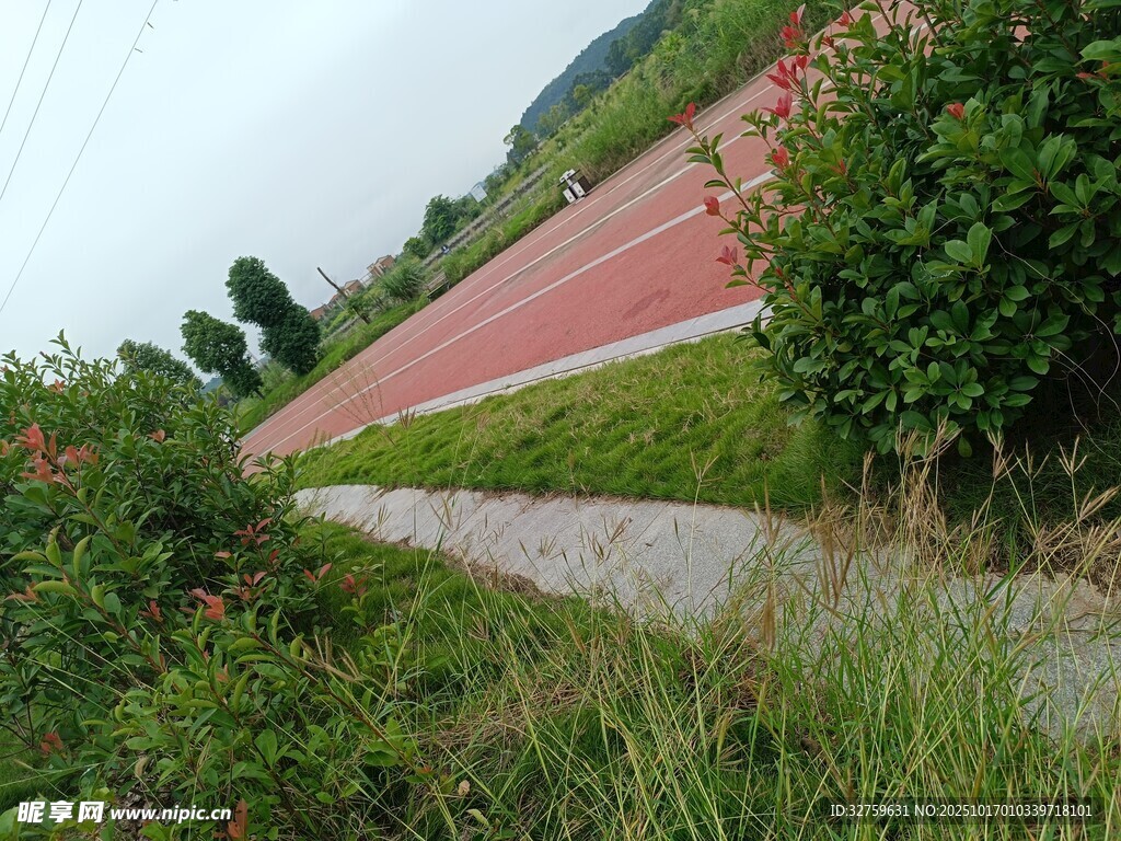 户外红色跑道旁的绿植景观