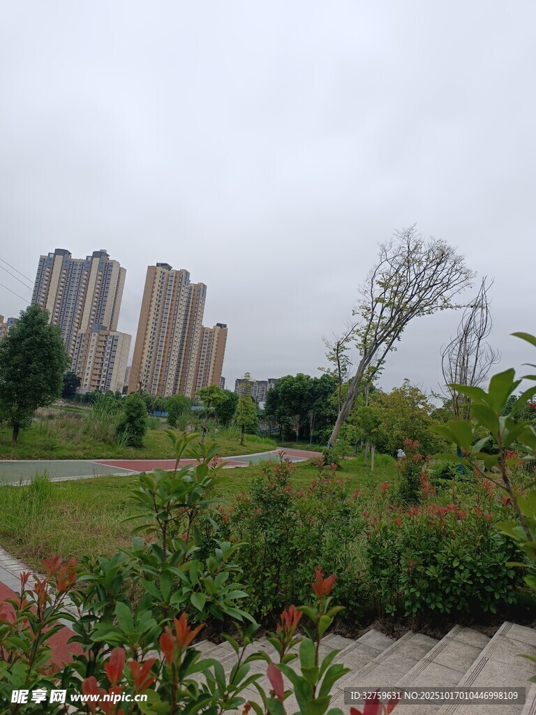 城市边缘的绿植与高楼景观