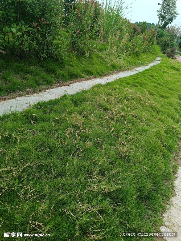 乡间蜿蜒小路 