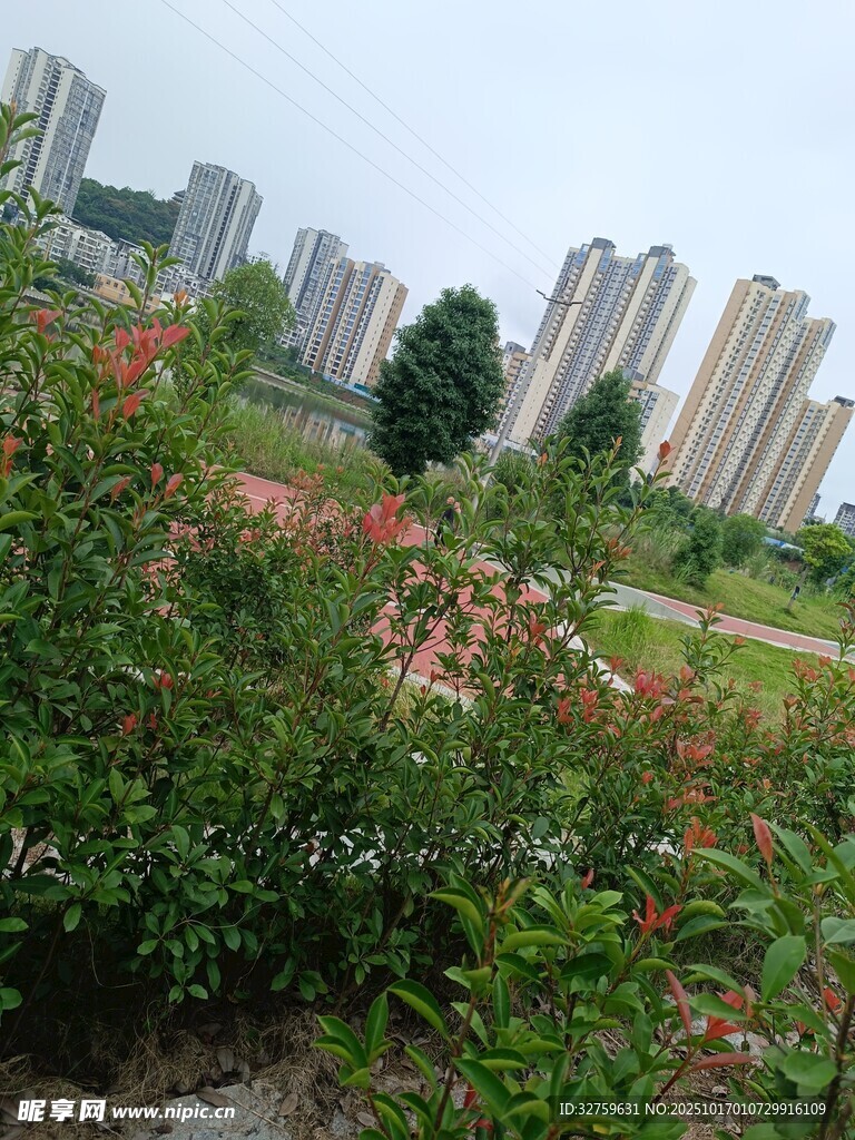 城市中的绿植花卉景观