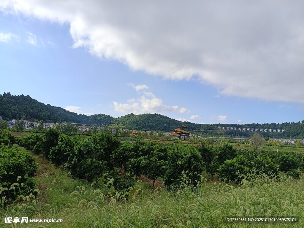 田园绿野风光