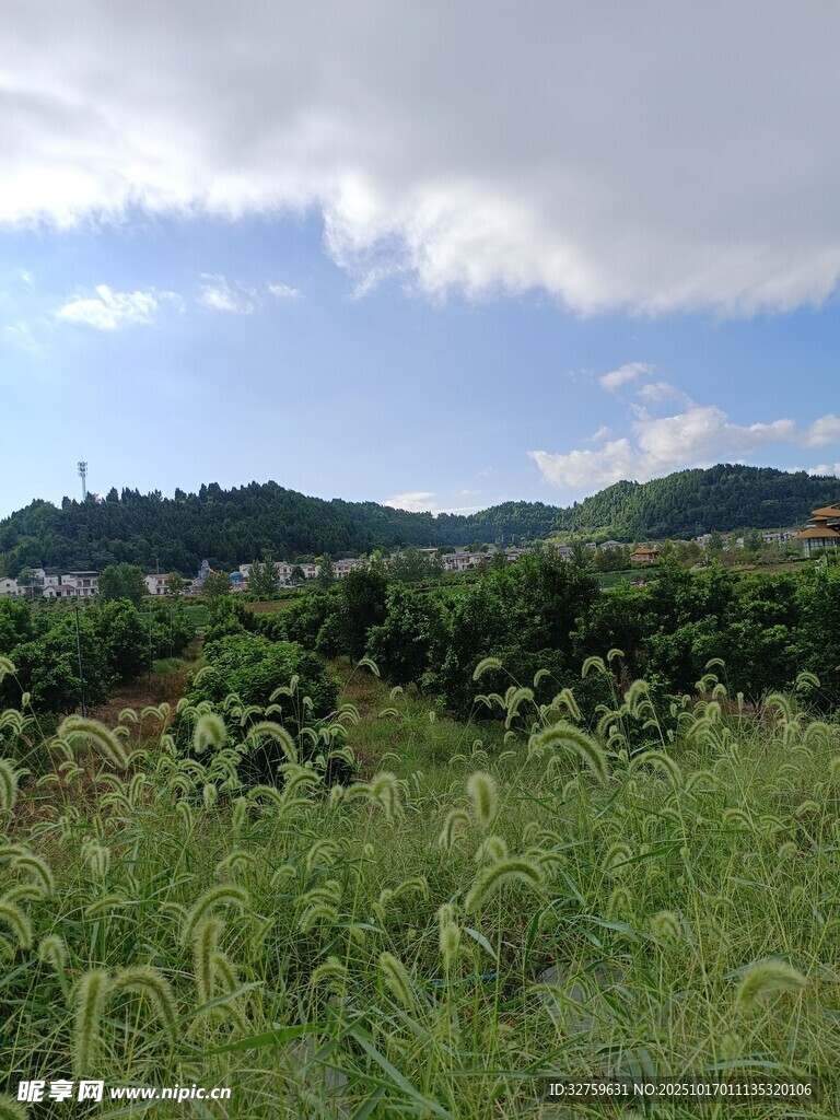 田园绿野风光