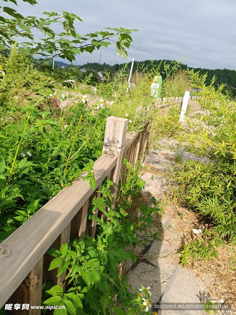 林间木栈道 