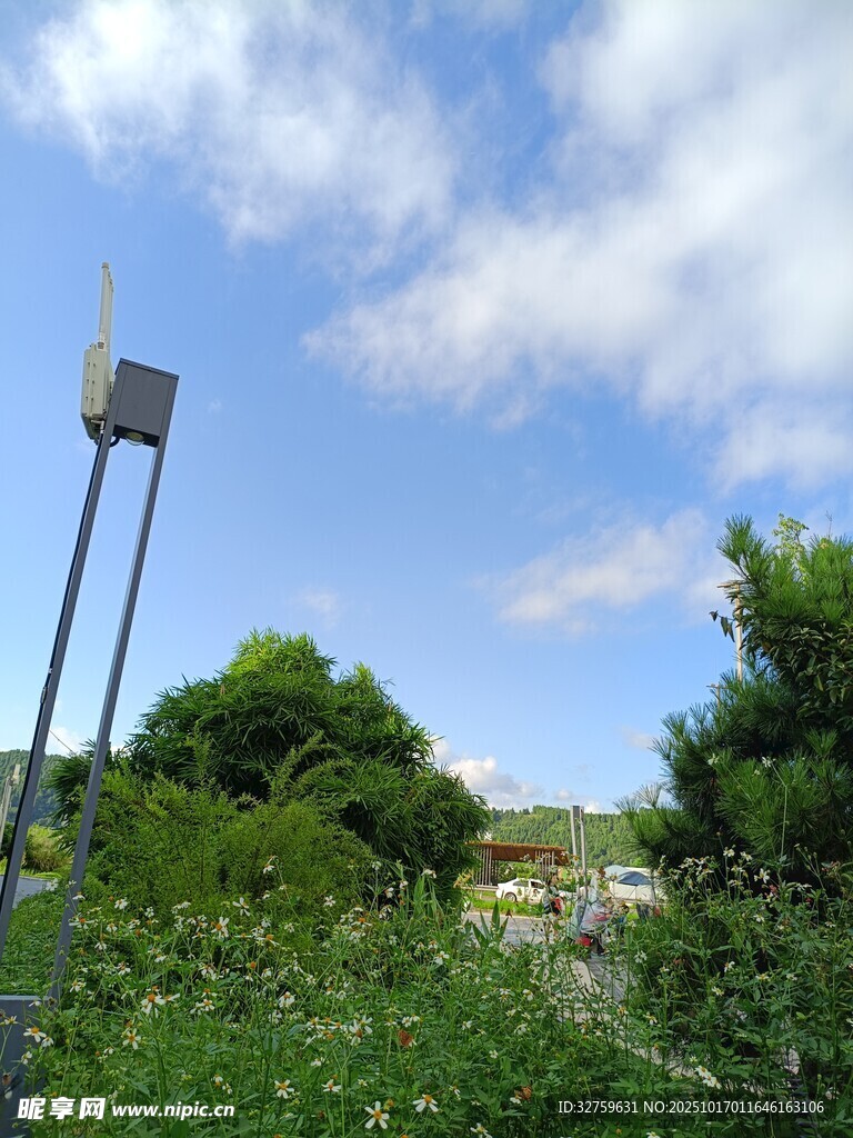 户外草地旁的黑色灯杆