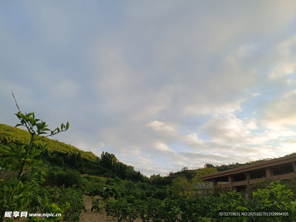 田园风光中的绿植与建筑