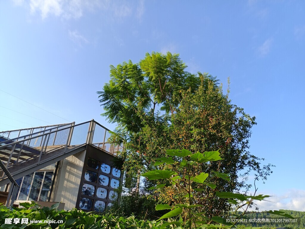 户外绿植环绕的现代建筑
