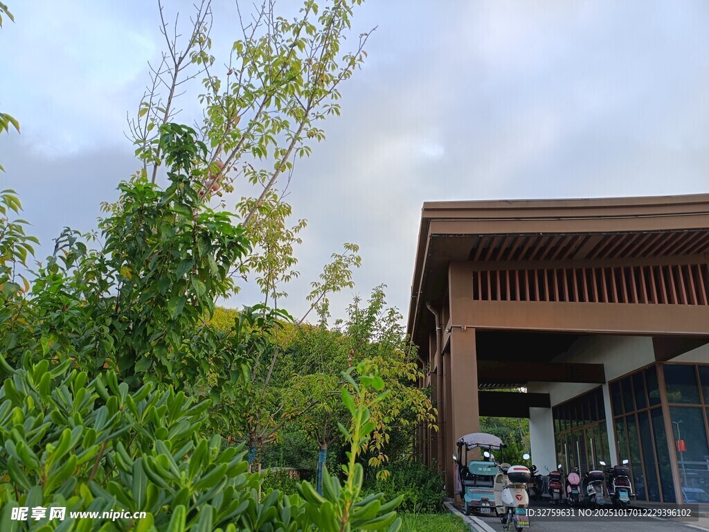 绿植环绕的现代风格小屋