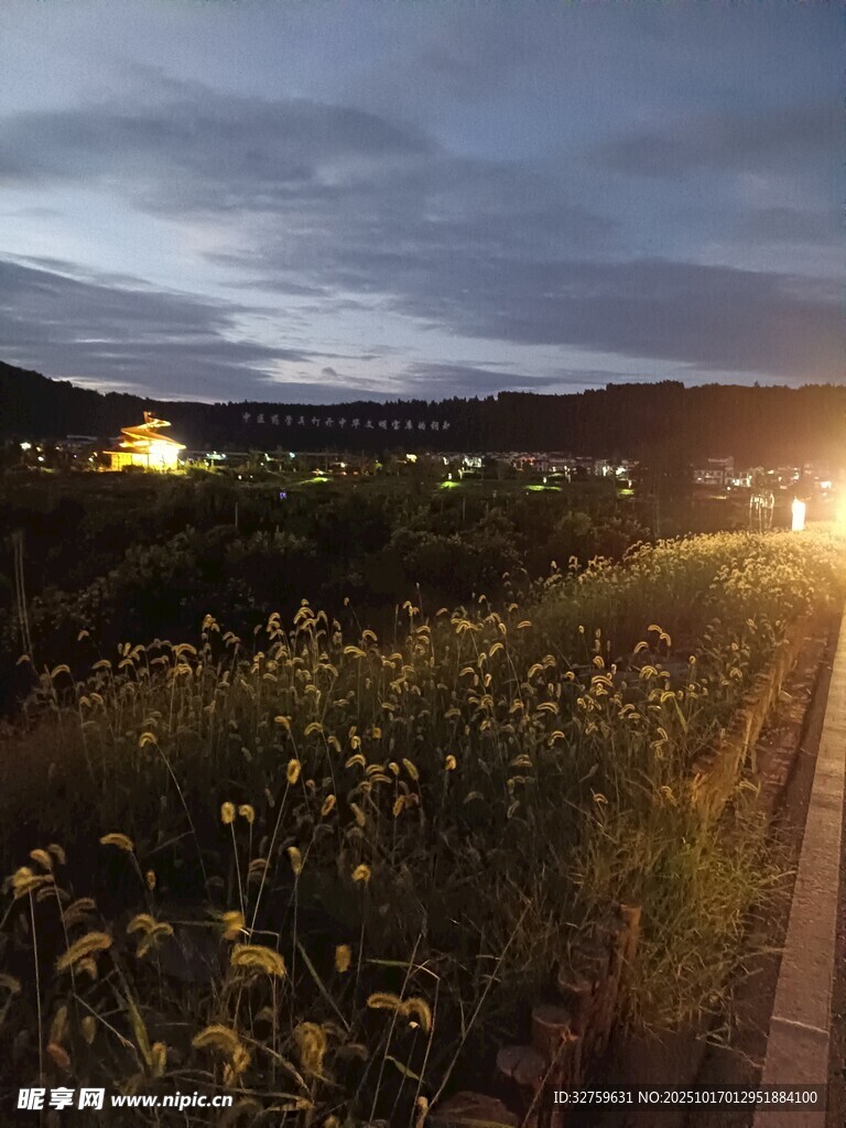 夜幕下的田野小路