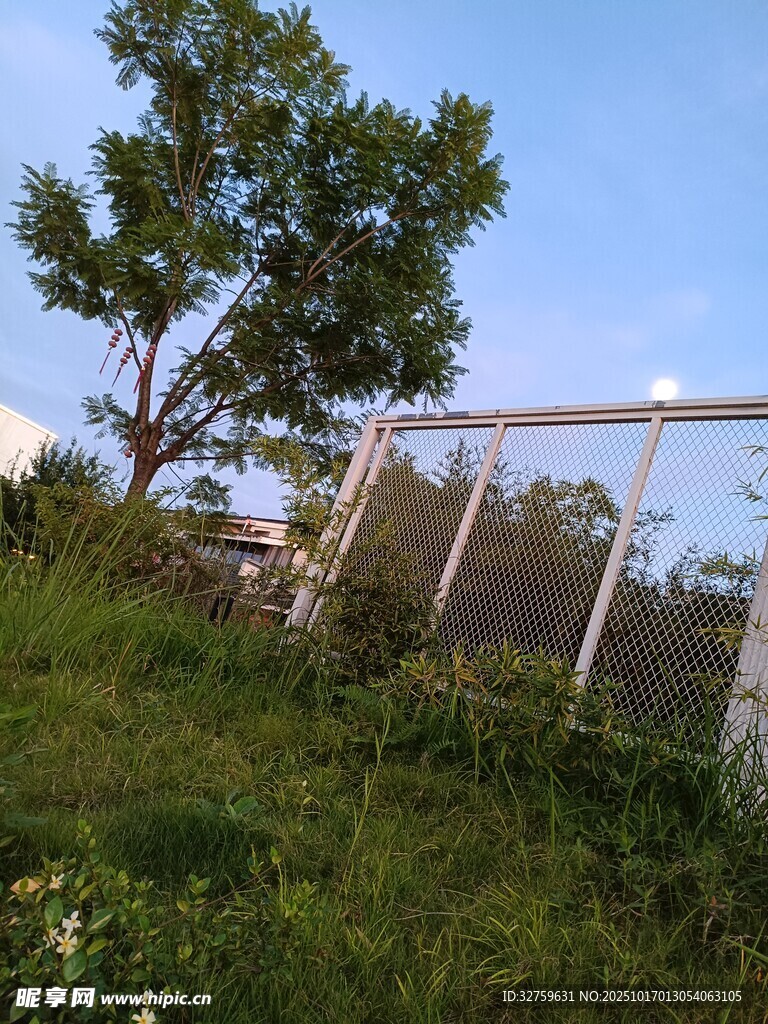 户外草地旁的木质架景观