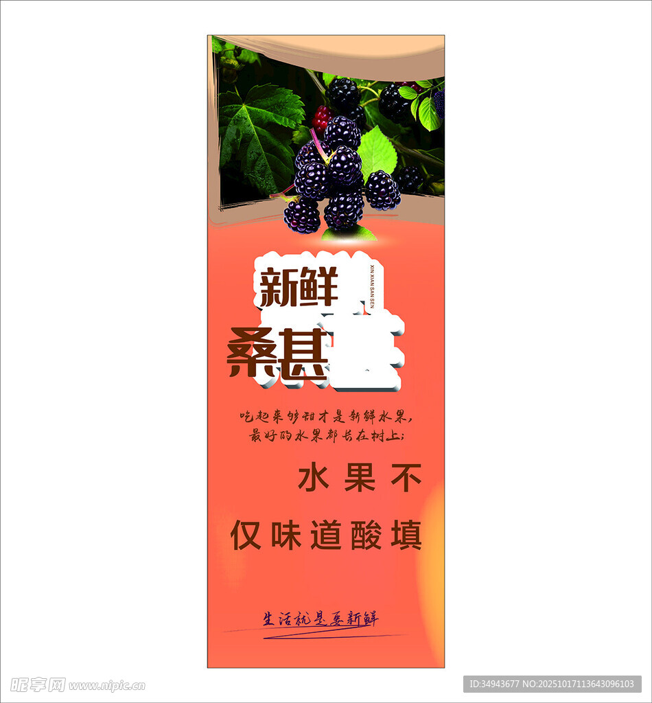 新鲜桑葚水果促销海报