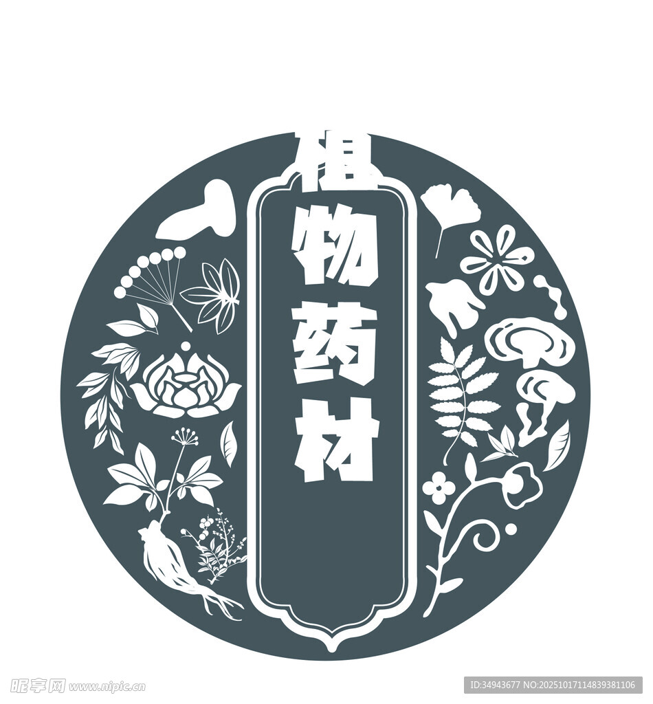 传统中药材圆形装饰图案