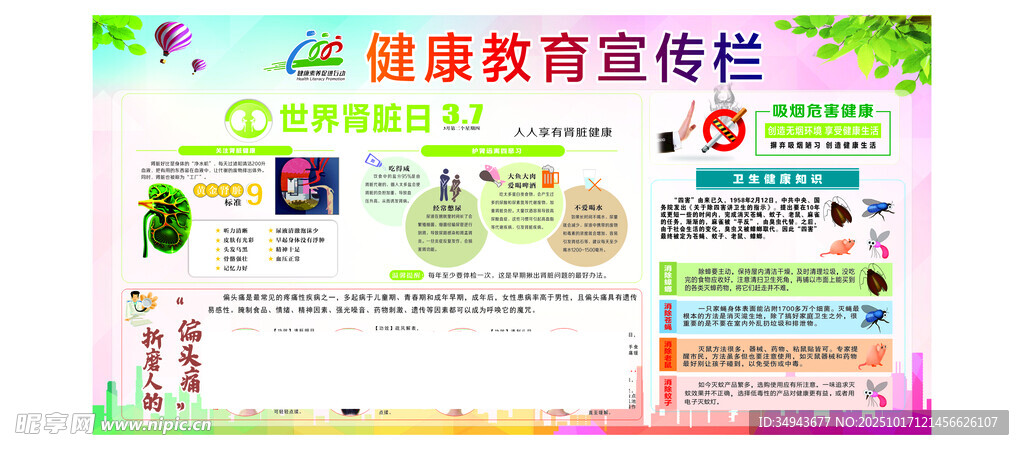 健康教育宣传栏展示