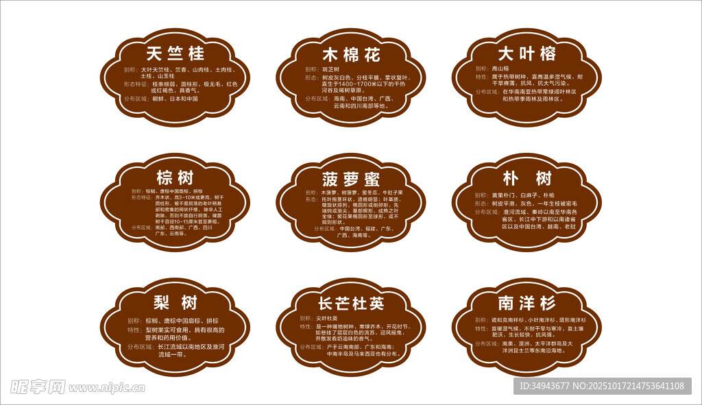 实体信息是多种树木的名称