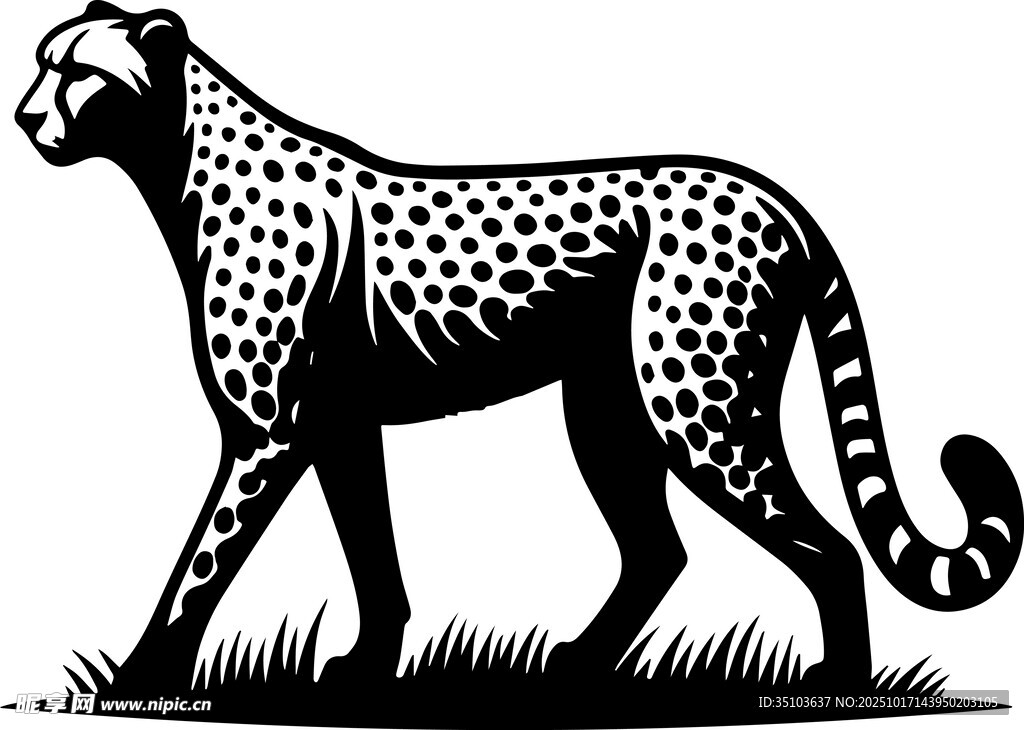 行走的猎豹