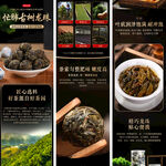 普洱茶详情页