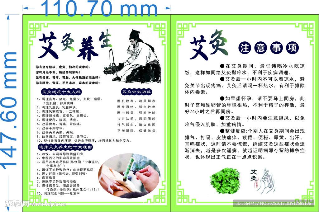 元气植海报